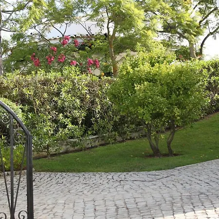 Vila Alto Club Oleander