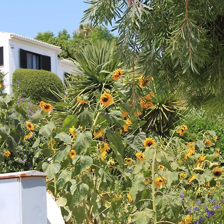 Alto Club Oleander Alvor